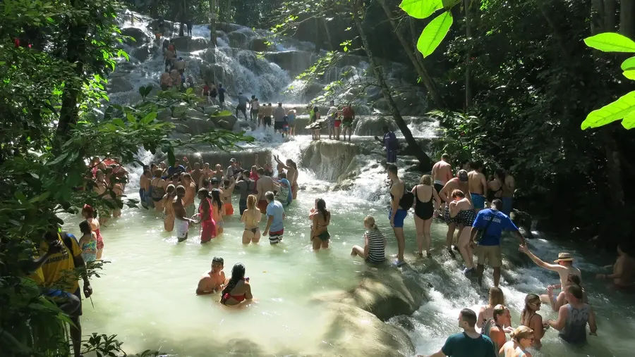 Visitors climbing the terraced cascades of Dunn's River Falls
