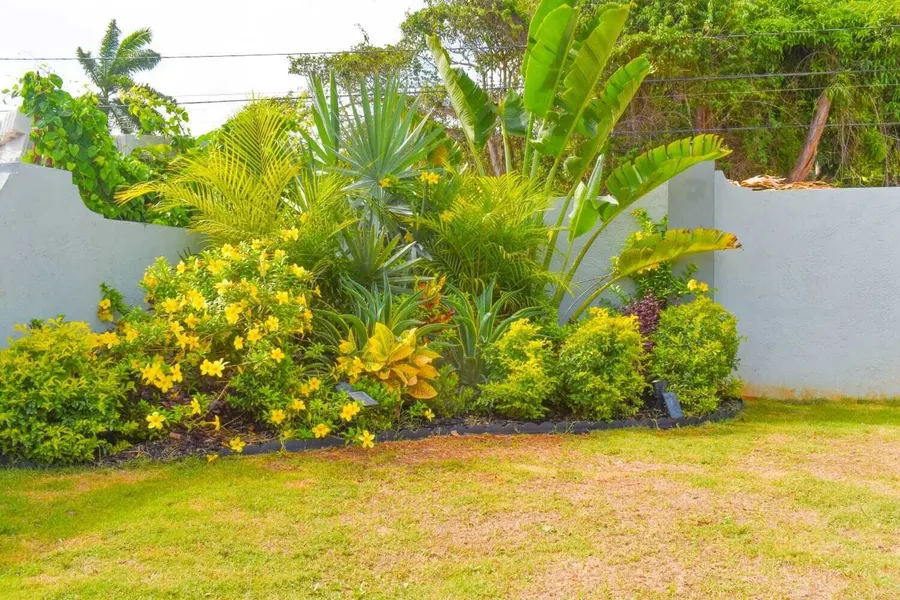 The front garden beds in full colour against the white veranda grille
