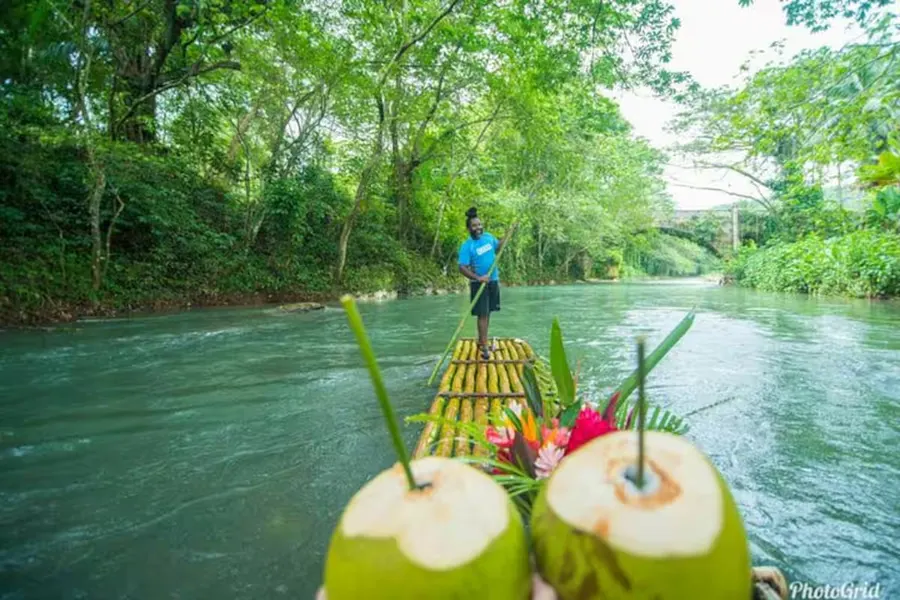 Bamboo raft on the green Martha Brae River with two fresh coconuts in the foreground